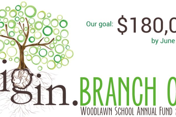2015-16 Annual Fund
