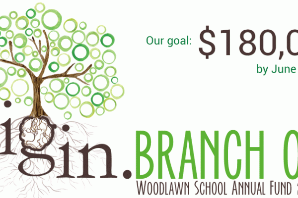 2015-16 Annual Fund (2)