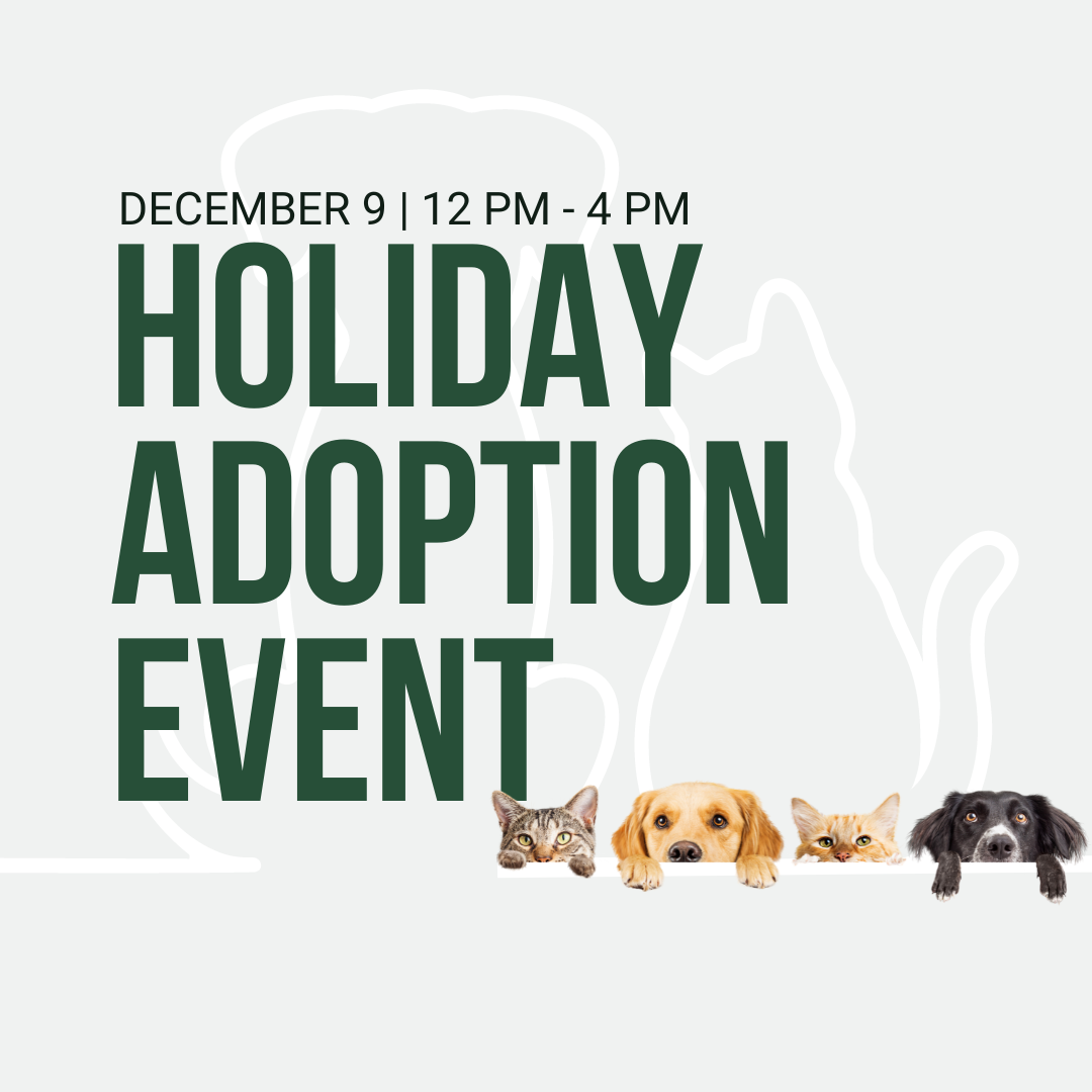 Holiday Adoption Event @ Aloft Hotel Mooresville Dec. 9