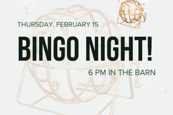 Bingo Night