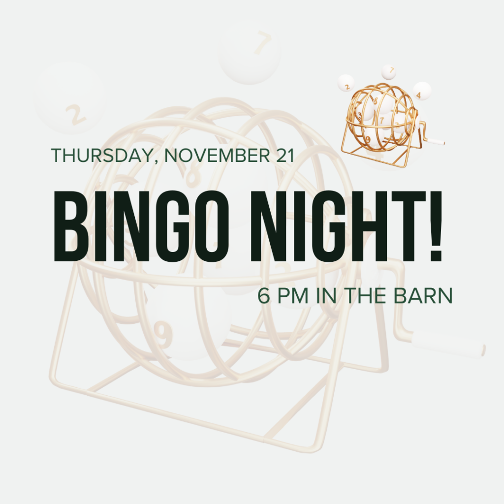 Bingo Night at Woodlawn School November 21, 2024