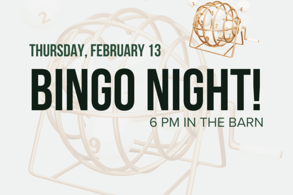 BINGO NIGHT