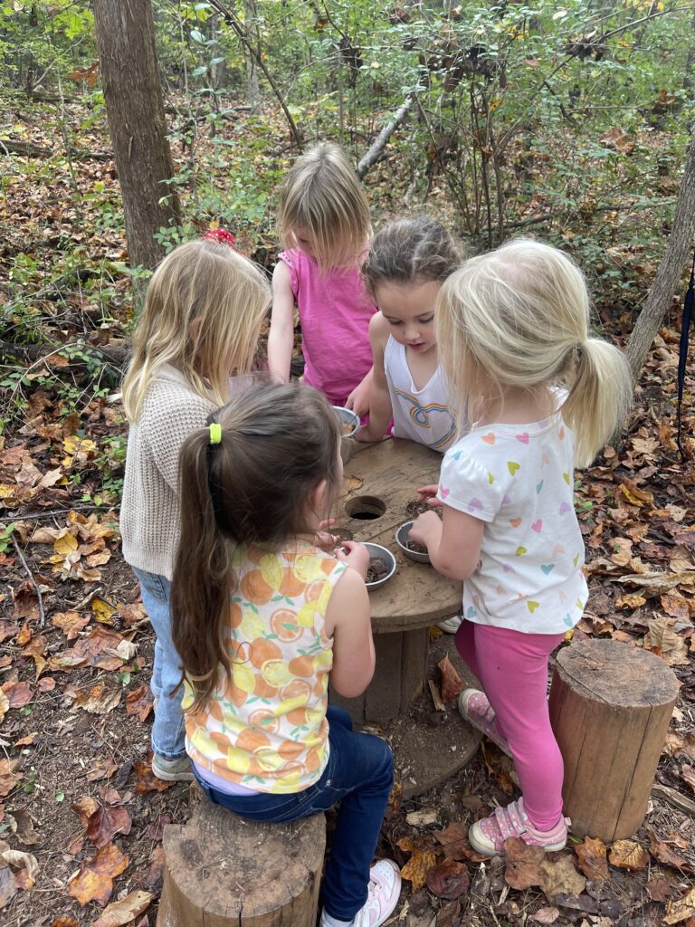 Early Explorers Outdoor Classroom Woodlawn School