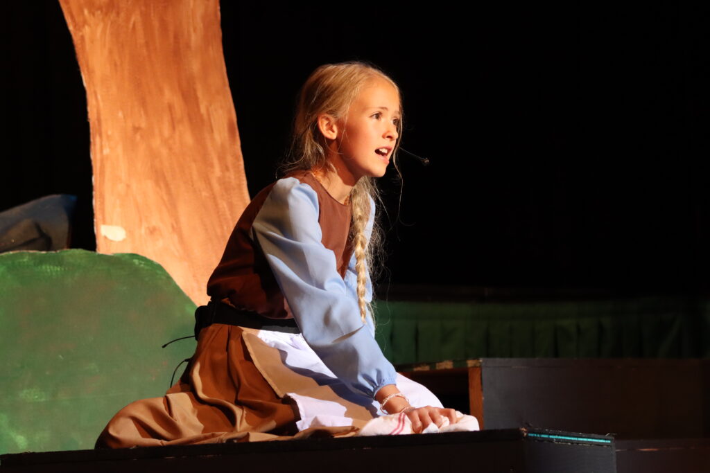 Middle School and Upper School Voice Program at Woodalwn School LKN